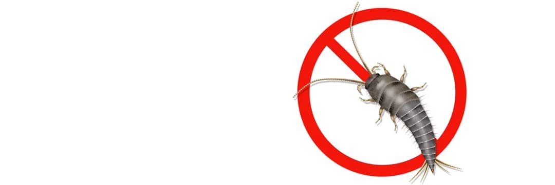 Skuteczne sposoby na wytępienie rybików z łazienki, które działają