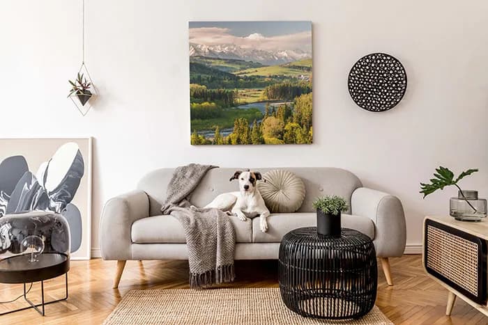 Jakie obrazy do salonu - inspiracje, które ożywią Twoje wnętrze