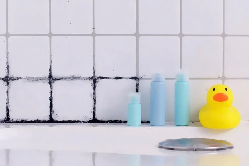Jak pozbyć się wilgoci z łazienki i uniknąć pleśni oraz uszkodzeń