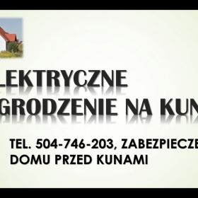 Pastuch na kuny, cena tel. 504-746-203. Kuna, Odławianie, odstraszanie, zabezpieczenie domu, ochrona