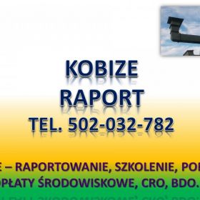 Raportowanie do Kobize cena. tel. 502032782. Zgłoszenie, raport  sprawozdanie, kobize, obsługa firm.