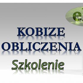 Szkolenie indywidualne BDO, Kobize, tel. 502-032-782 oraz opłaty za środowisko, pomoc.  