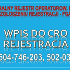 Ile wynosi kara za niezgłoszenie pompy ciepła? tel. 504-746-203. Jak wypełnić wniosek do CRO?