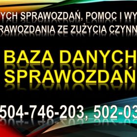 Ile kosztuje sprawozdanie  SZWO i FGC, tel. 504-746-203, do Bazy Danych Sprawozdań za fgazy. 