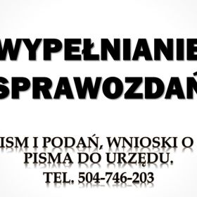 Jak wypełnić sprawozdanie do GUS ? tel. 504-746-203. Wypełnienie sprawozdanie do GUS, pomoc.