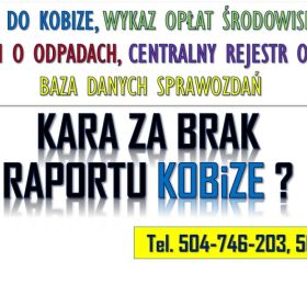 Kobize kara, kontrola? Tel. 502-032-782, Pomoc w raporcie do kobize, Ile wynosi za brak sprawozdania